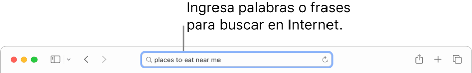 El campo de búsqueda inteligente de Safari, en donde puedes ingresar palabras y frases para buscarlas en Interne.