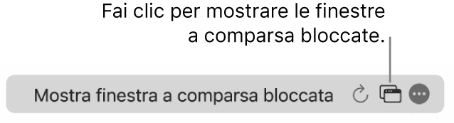 Il campo di ricerca smart con un pulsante per mostrare le finestre a comparsa bloccate.