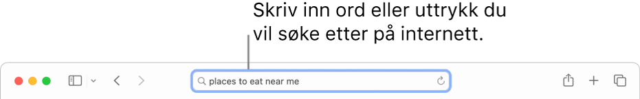 Det smarte søkefeltet i Safari, der du kan skrive inn ord og uttrykk du vil søke etter på internett.