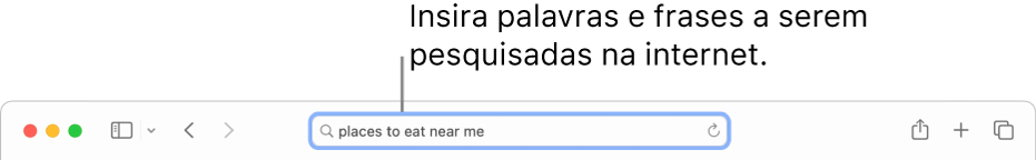 Campo de Busca Inteligente do Safari, onde você pode digitar palavras e frases para buscar na internet.