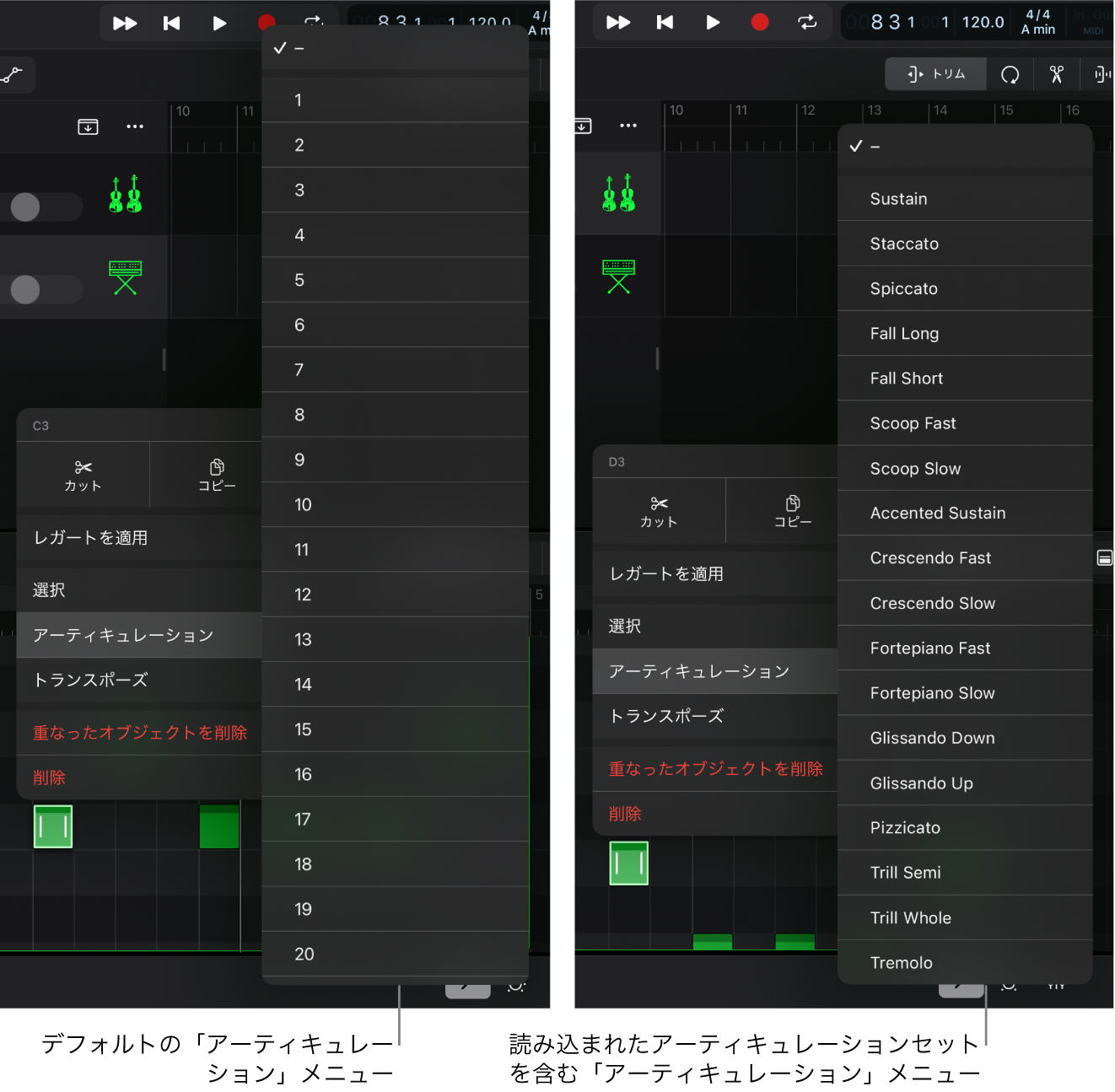 図。アーティキュレーションID。