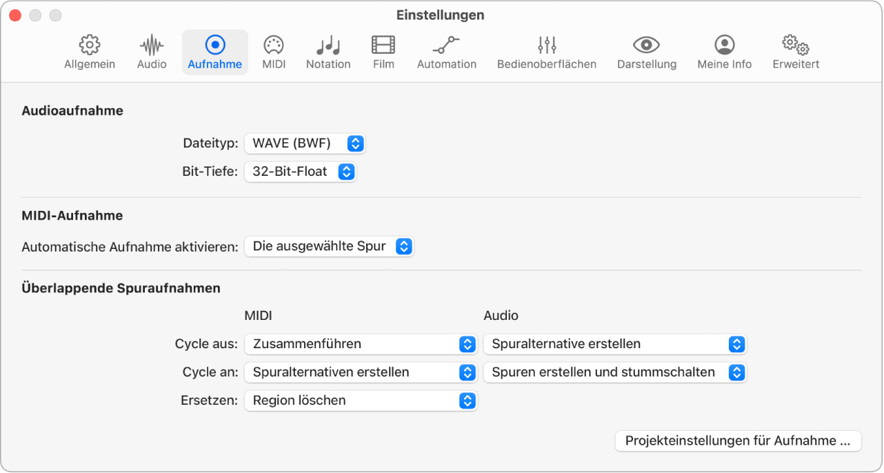 Abbildung. Einstellungen „Aufnahme“.
