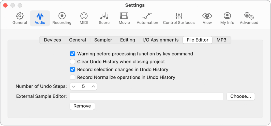 Figure. Audio File Editor settings.