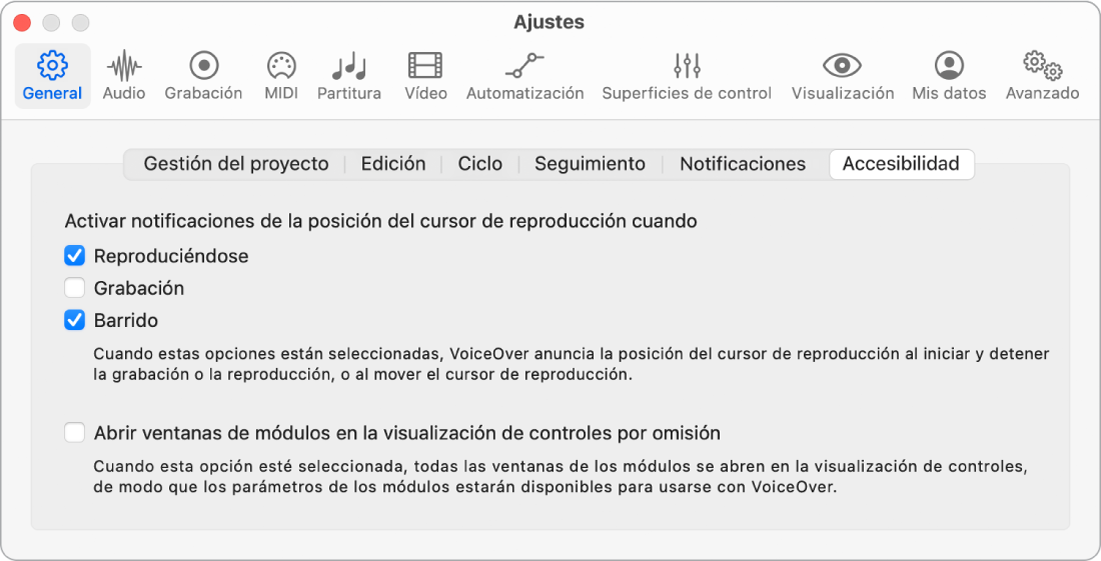 Ilustración. Ajustes de accesibilidad.
