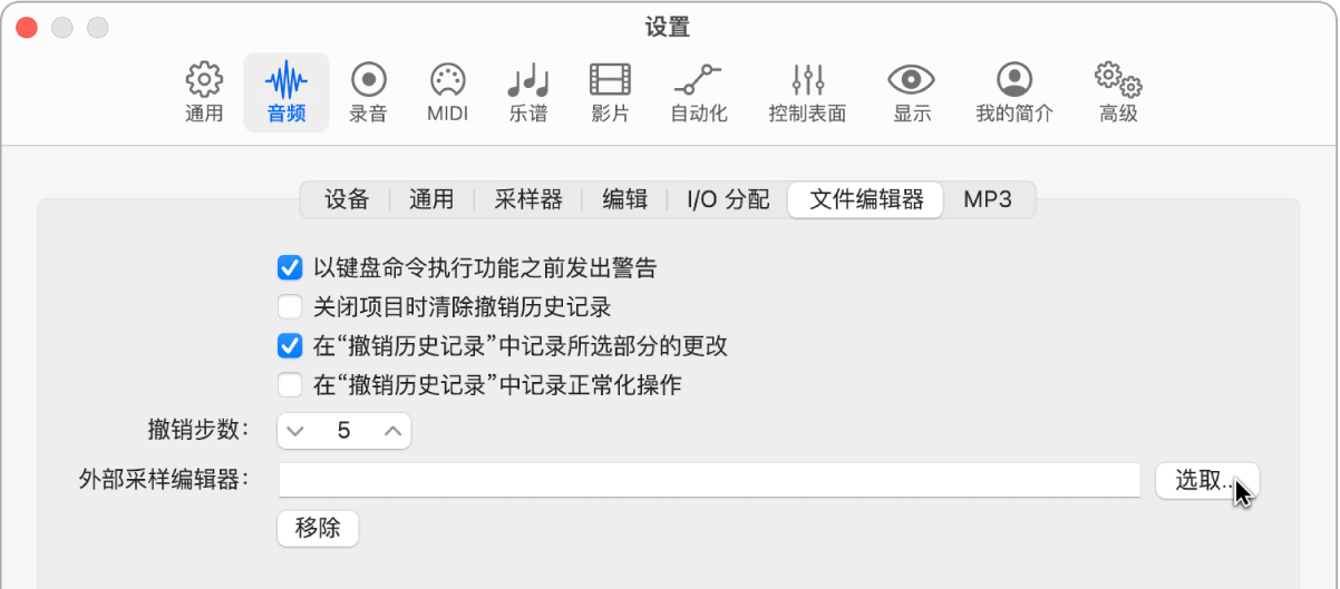 图。“音频”设置中的“文件编辑器”面板。