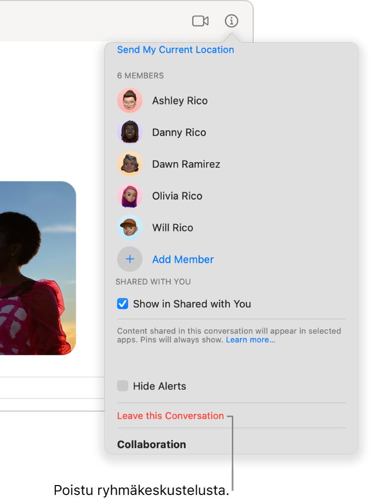 Tiedot-näkymä, joka tulee näkyviin, kun klikkaat keskustelussa Tiedot-painiketta. Poistu keskustelusta on valintaikkunan alaosan lähellä.