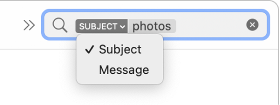 Un filtro di ricerca con la freccia in basso selezionata che mostra due opzioni: Oggetto e Messaggio intero. L’opzione Oggetto è selezionata.