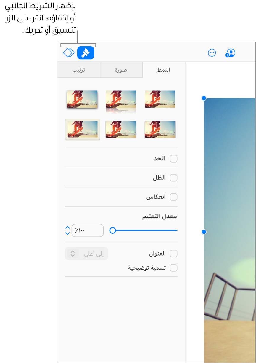 يُحدَد زر "التنسيق" في شريط الأدوات، وتظهر عناصر التحكم في النمط والظل وعناصر التحكم في التنسيق الأخرى في الشريط الجانبي على الجانب الأيسر من الشريحة.