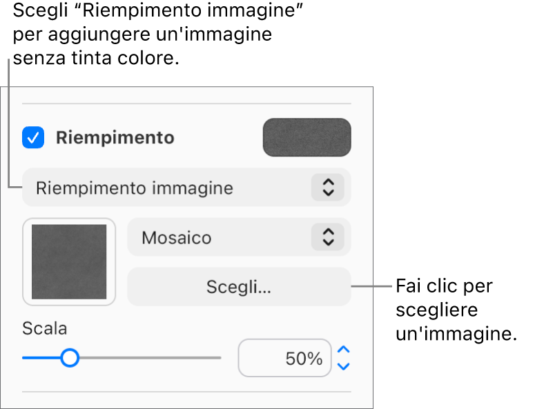 Il riquadro Riempimento è selezionato nella barra laterale, e Riempimento immagine è selezionato nel menu a comparsa sotto il riquadro. I controlli per scegliere l’immagine, la sua scala e come riempire l’oggetto vengono visualizzati nel menu a comparsa. Un’anteprima del riempimento dell’immagine viene visualizzata nel quadrato (dopo aver selezionato un’immagine).