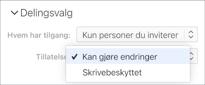 Tillatelse-lokalmenyen under Delingsvalg er åpen, med valg som lar personer redigere en presentasjon eller bare vise den.