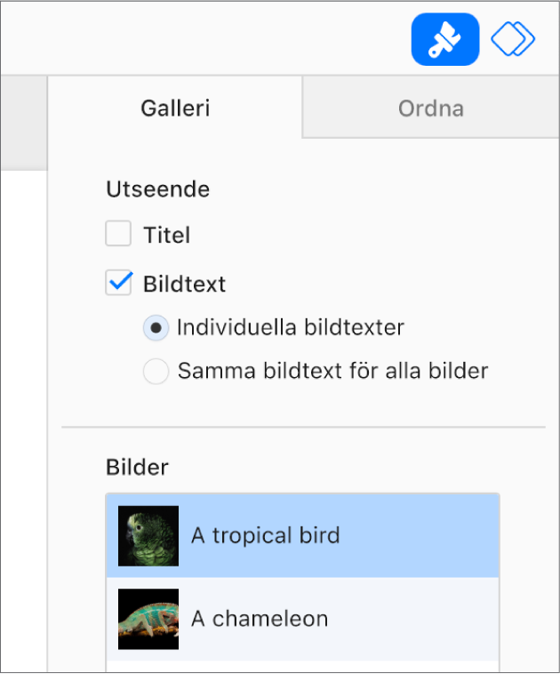 Fliken Galleri i sidofältet Format. Kryssrutan Bildtexter är markerad och det finns alternativ att ha individuella bildtexter för varje bild, eller samma bildtext för alla bilder. Under kontrollerna finns miniatyrer av varje bild med dess bildtext till höger.
