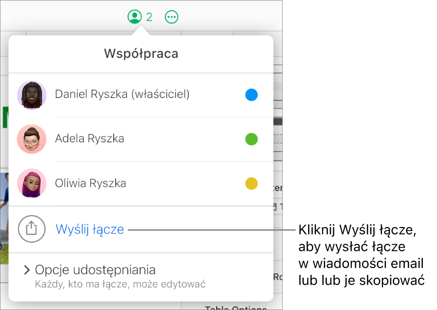 Zostanie otwarte menu Współpraca z opcją Wyślij łącze pod listą uczestników.