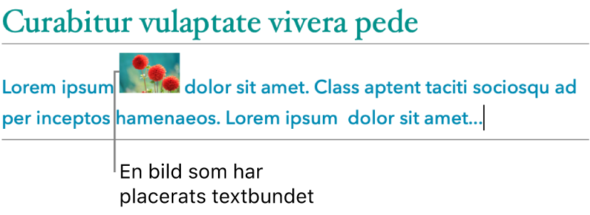 En bild placeras förankrad till texten.