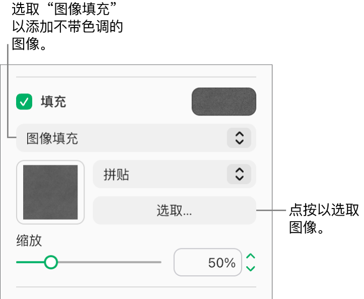 已选中边栏中的“填充”复选框，且在复选框下方的弹出式菜单中选取了“图像填充”。用于选取图像、对象填充方式以及图像比例的控制显示在该弹出式菜单的下方。图像填充的预览出现在方框中（当图像被选中后）。