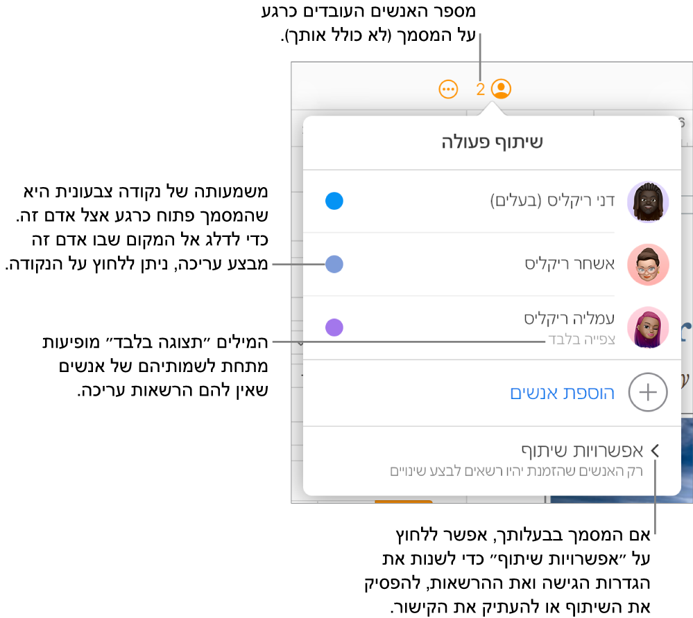 התפריט ״שיתוף פעולה״ פתוח, עם רשימה של שלושה משתתפים (אחד מהם עם הרשאת גישה ״לצפייה בלבד״), עם האפשרות ״הוספת אנשים״ ועם המקטע ״אפשרויות שיתוף״.