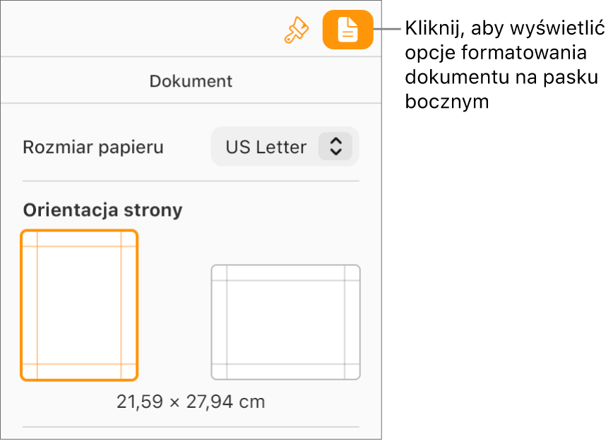 Na pasku narzędzi wybrany jest przycisk Dokument, a na karcie Dokument na pasku bocznym wyświetlane są narzędzia do zmiany rozmiaru i orientacji papieru.