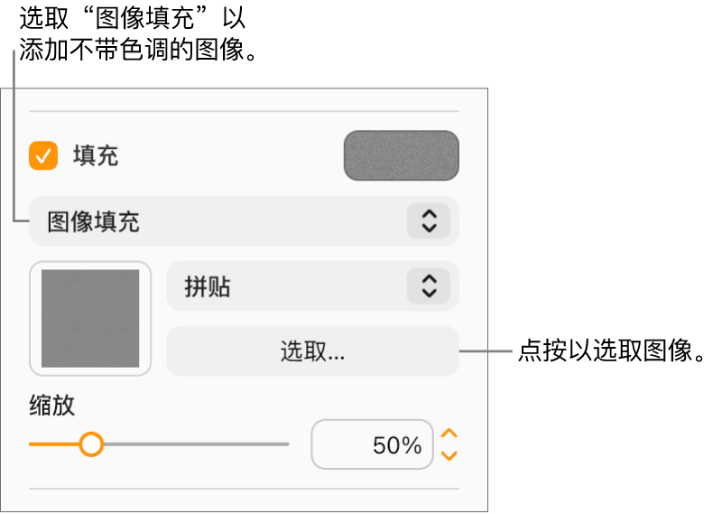 已选中边栏中的“填充”复选框，且在复选框下方的弹出式菜单中选取了“图像填充”。用于选取图像、对象填充方式以及图像比例的控制显示在该弹出式菜单的下方。图像填充的预览出现在方框中（当图像被选中后）。