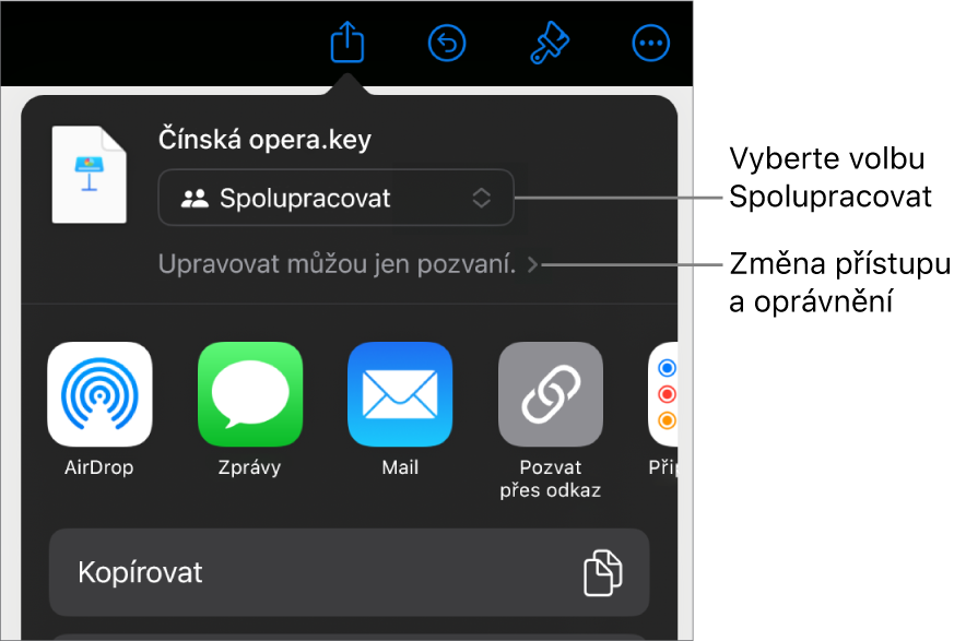 Nabídka sdílení, v níž je nahoře vidět vybraná volba Spolupracovat a pod ní volby pro nastavení přístupu a oprávnění