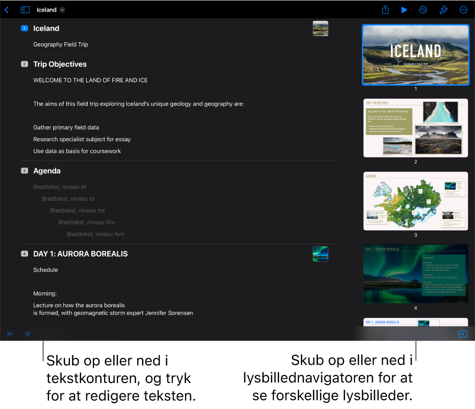 Dispositionsoversigt med en tekstdisposition af en præsentation på den venstre side af skærmen og den lodrette lysbillednavigator på den højre side.