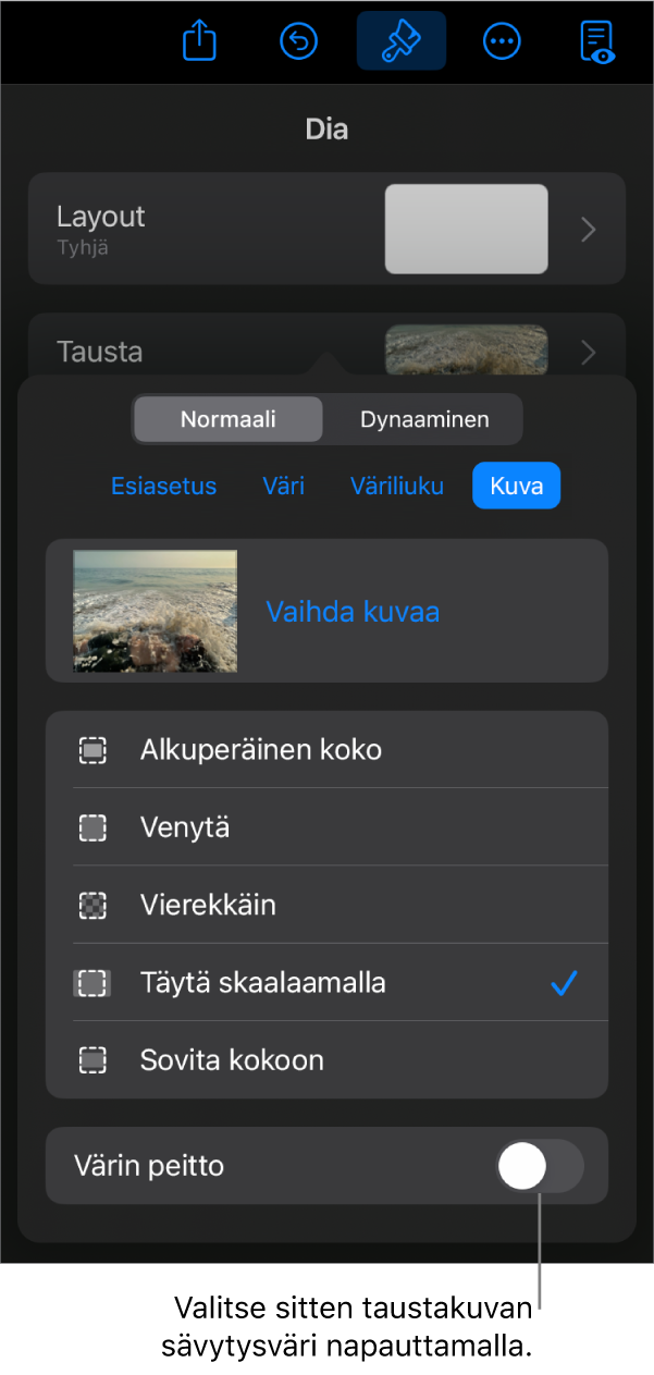 Tausta-säätimet, joissa kuva on asetettu dian taustaksi, ja Värin täyttö -säädin näkyy alareunassa.