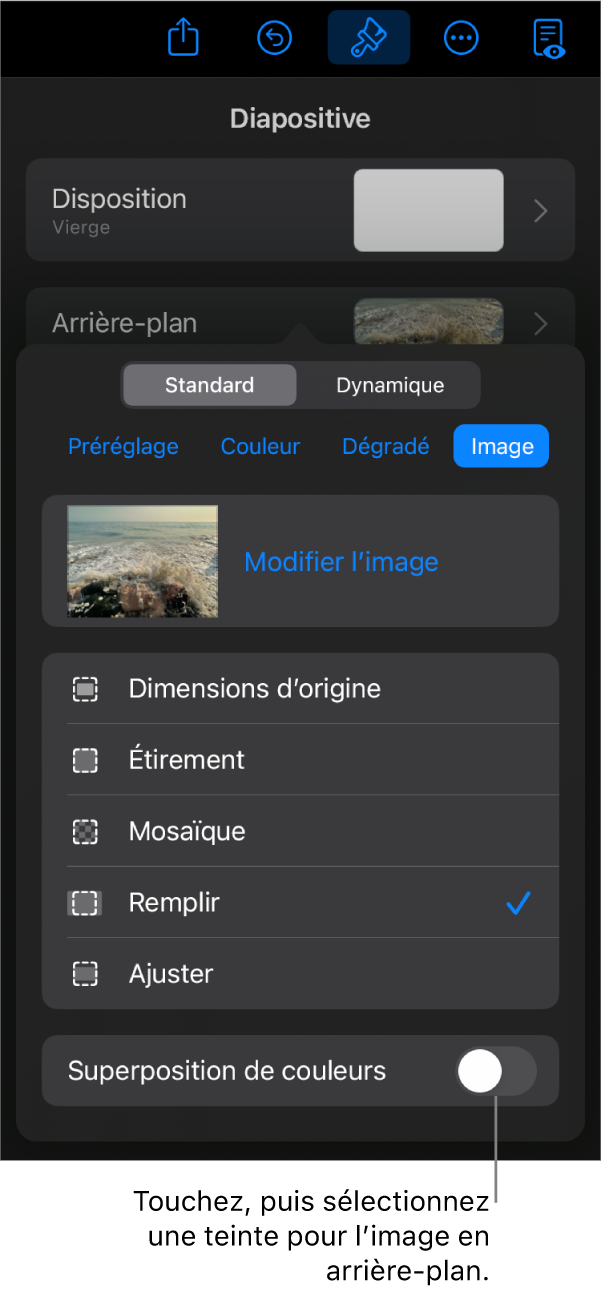 Les commandes Arrière-plan avec une image réglée comme arrière-plan des diapositives et la commande Superposition de couleurs au bas.