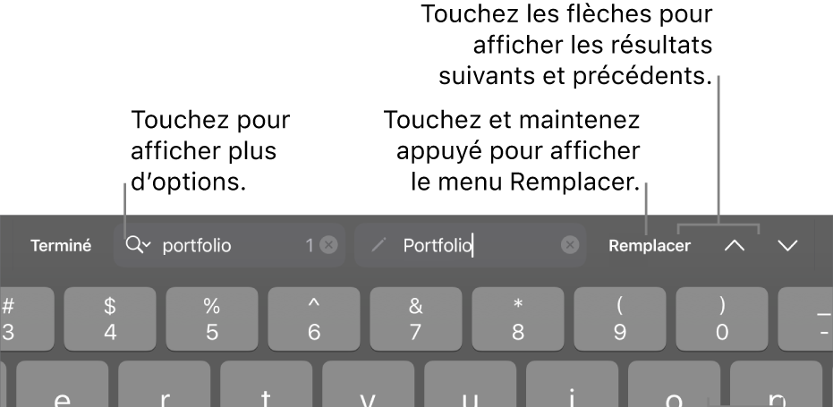 Les commandes Rechercher et remplacer au-dessus du clavier avec des légendes pour les boutons Options de recherche, Monter et Descendre.
