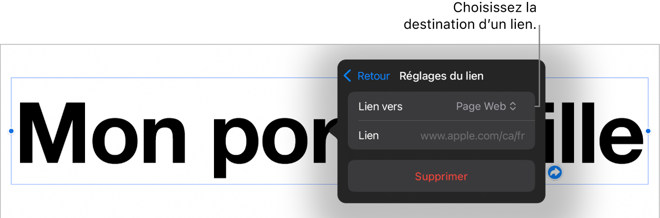 Les commandes Réglages du lien avec l’option Page Web sélectionnée au-dessus du bouton Supprimer.