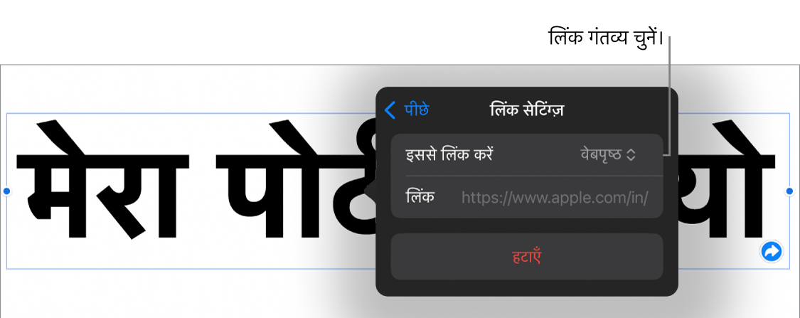 चुने गए वेबपृष्ठ के साथ लिंक सेटिंग्ज़ नियंत्रण और सबसे नीचे “लिंक हटाएँ” बटन।