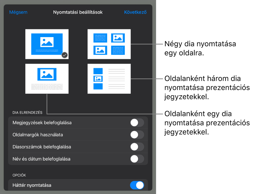 Nyomtatási elrendezés beállításai.
