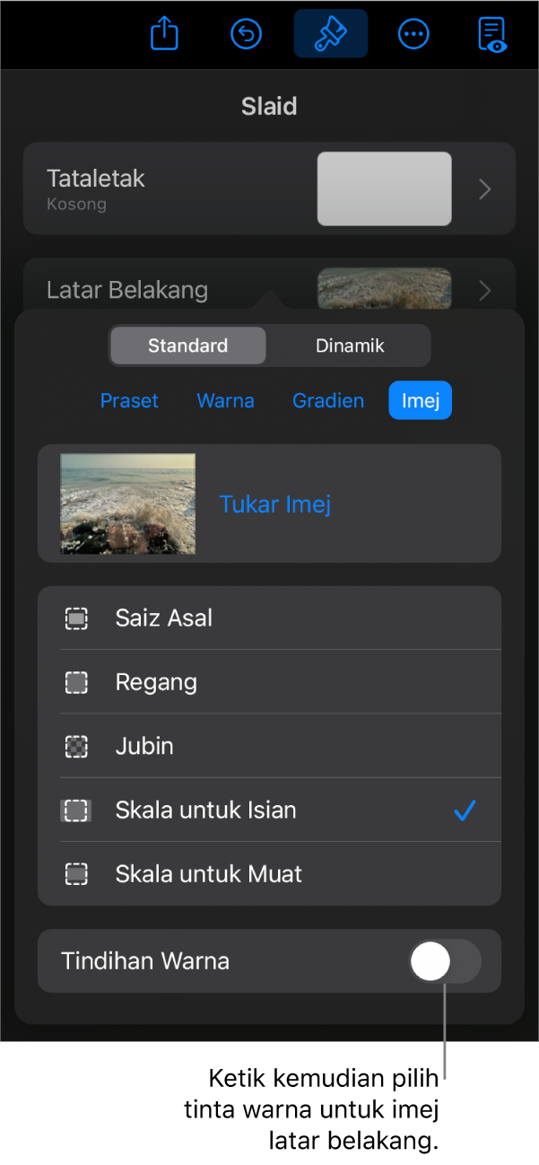 Kawalan Latar Belakang dengan imej disetkan sebagai latar belakang slaid dan kawalan Tindihan Warna di bahagian bawah.