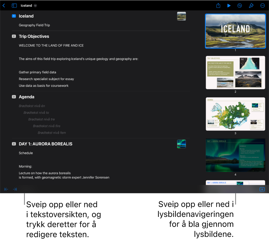Disposisjonsvisning med tekstdisposisjonen på venstre side av skjermen, og den vertikale lysbildenavigeringen på høyre side.
