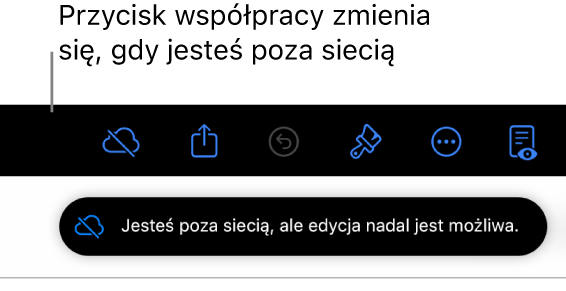 Przyciski znajdują się u góry ekranu; przycisk współpracy wyświetlany jest jako chmura przekreślona ukośną linią. Alert zawierający następującą informację: Brak połączenia z siecią, ale edycja nadal jest możliwa.