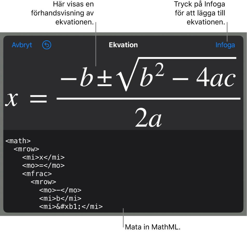 Dialogrutan Ekvation visar en ekvation som skrivits med MathML-kommandon och en förhandsvisning av formeln ovanför den.