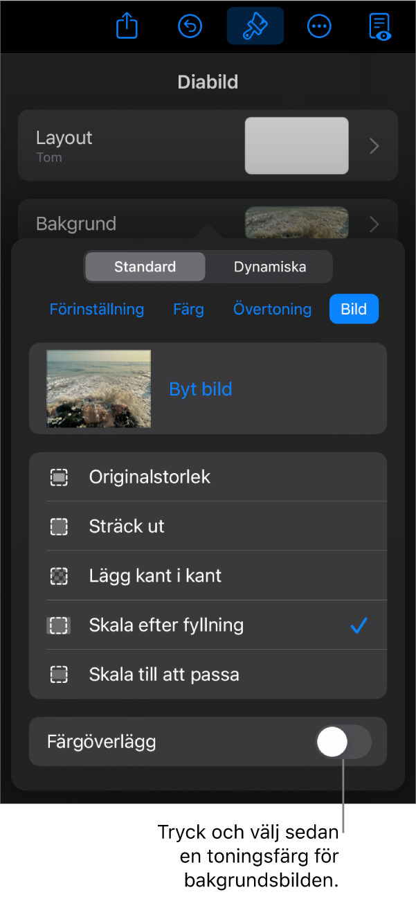 Bakgrundsreglagen med en bild inställd som diabildsbakgrund och reglaget Färgöverlägg längst ned.