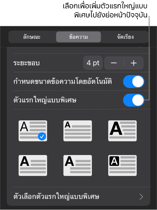 ตัวควบคุมตัวแรกใหญ่แบบพิเศษที่อยู่ในเมนูข้อความ