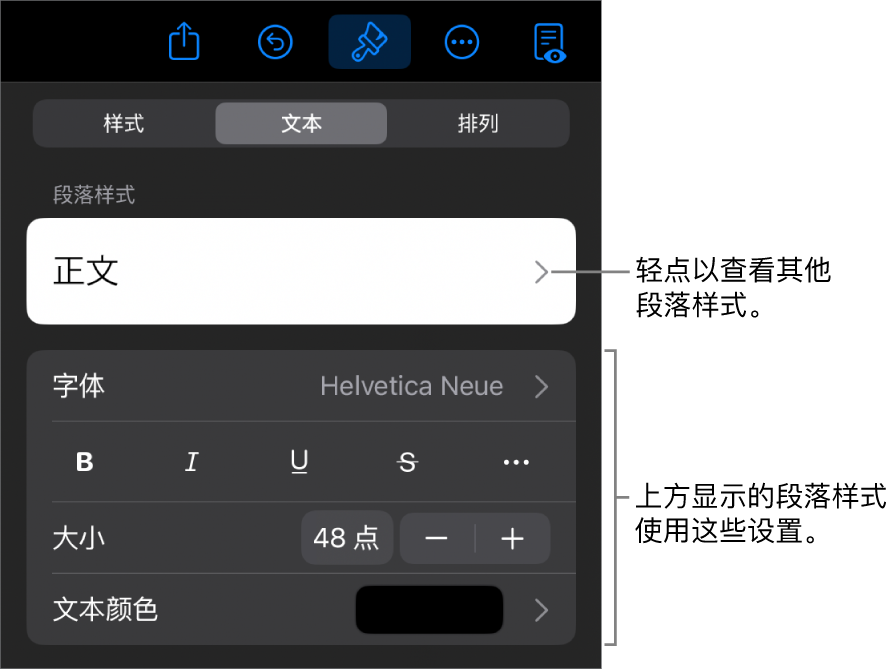 显示文本控制的“格式”菜单，用于设定段落和字符样式、字体、大小和颜色。