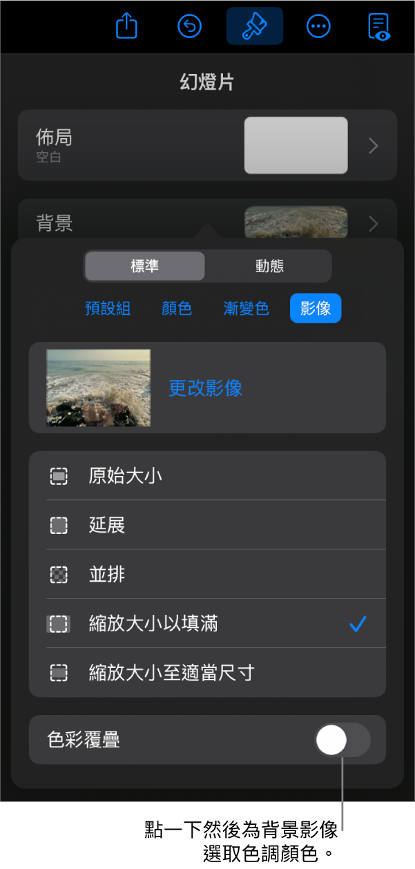 「背景」控制項目，其中一個影像已設定為投影片背景，且「色彩覆疊」控制項目位於底部。