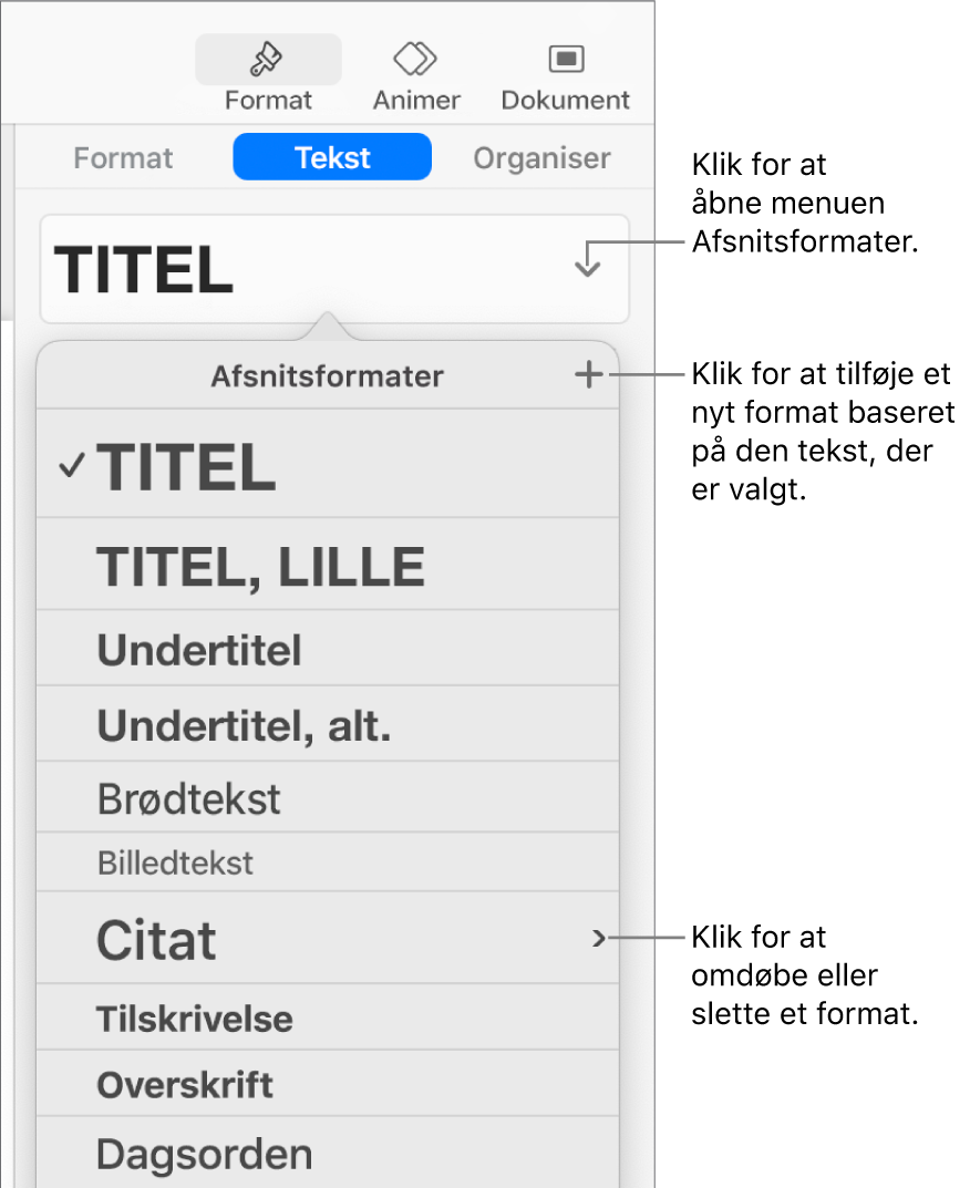 Menuen Afsnitsformater med betjeningsmuligheder til tilføjelse eller ændring af et format.