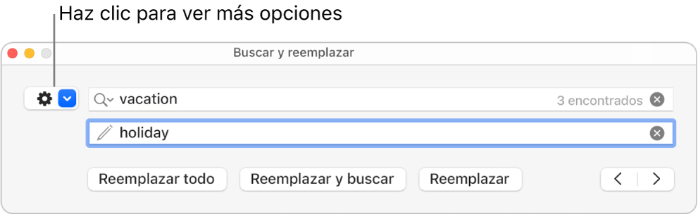 La ventana “Buscar y reemplazar” con una llamada al menú desplegable que muestra más opciones.