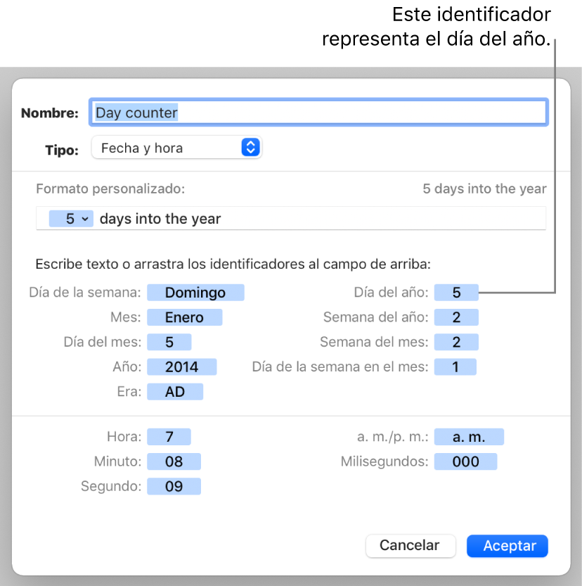 Ventana de formato de celda personalizado con controles para crear un formato de fecha y hora personalizado.