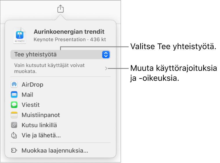 Jaa-valikko, jossa on ylhäällä valittuna Tee yhteistyötä, ja sen alla ovat käyttöoikeus- ja lupa-asetukset.
