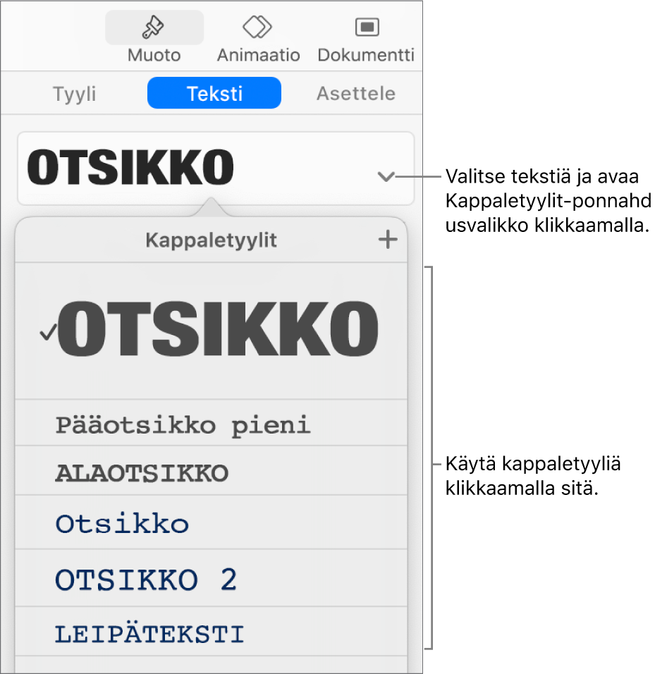 Kappaletyylit-valikko, jossa on valintamerkki valitun tyylin vieressä.