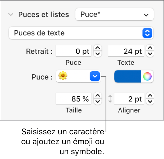 La section Puces et listes de la barre latérale Format. Le champ Puces affiche un émoji de fleur.