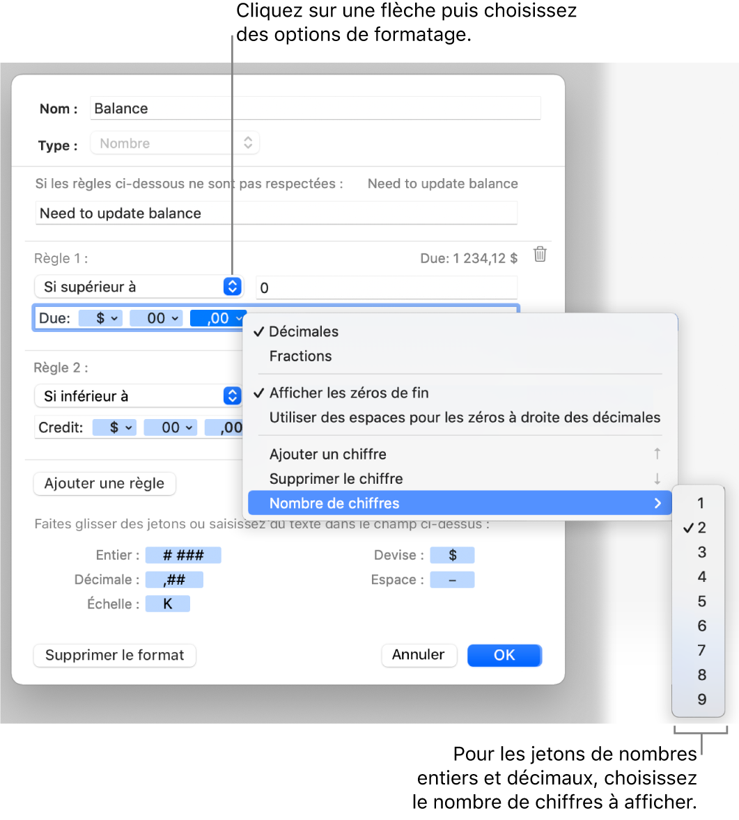 Fenêtre de format de cellule personnalisé présentant les commandes permettant de créer un format numérique personnalisé.