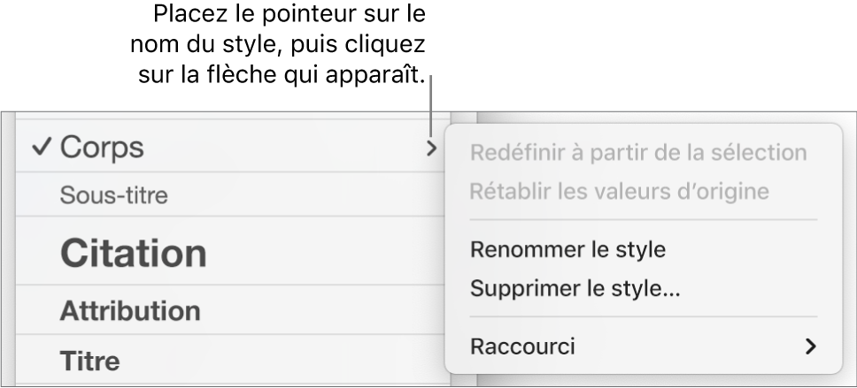 Le menu Styles de paragraphe avec le menu contextuel ouvert.