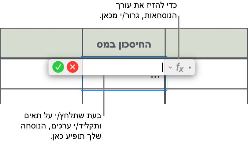 עורך הנוסחאות.