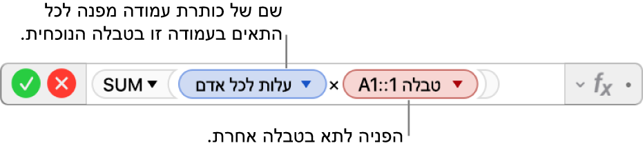 ״עורך הנוסחאות״ עם משולש שצריך ללחוץ עליו כדי לפתוח אפשרויות לשמירה על ההפניות של העמודות או השורות.