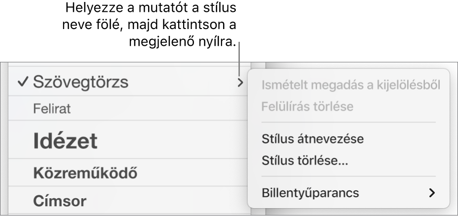 A Bekezdésstílusok menü a megnyitott helyi menüvel.