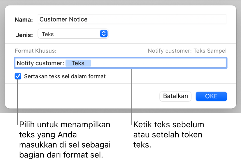 Format sel teks khusus.