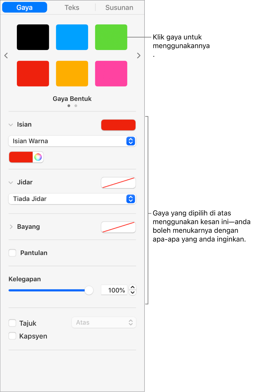 Gaya dan pilihan bentuk di bahagian Format dalam bar sisi.